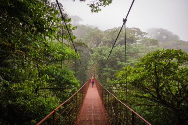 Monteverde Cloud Forest Reserve