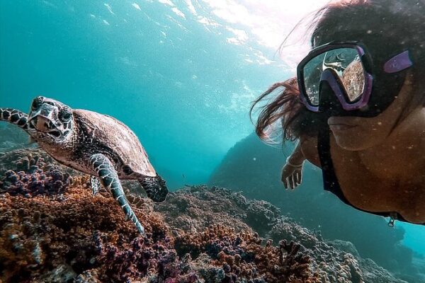 Snorkeling With The Dolphins